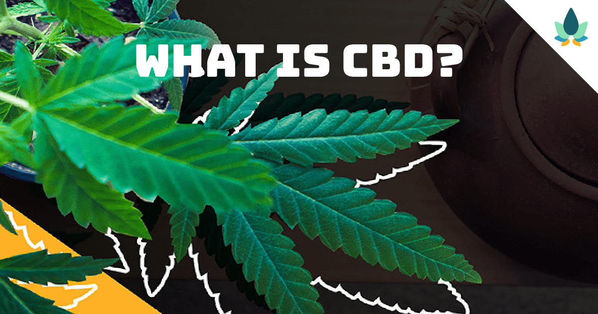 What is CBD? Does CBD Get You High & Is Cannabidiol Safe? - CBD Central®